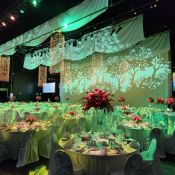 Hospitals of Regina Four Seasons Ball 2024
