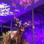 Remai Modern Gala 2023